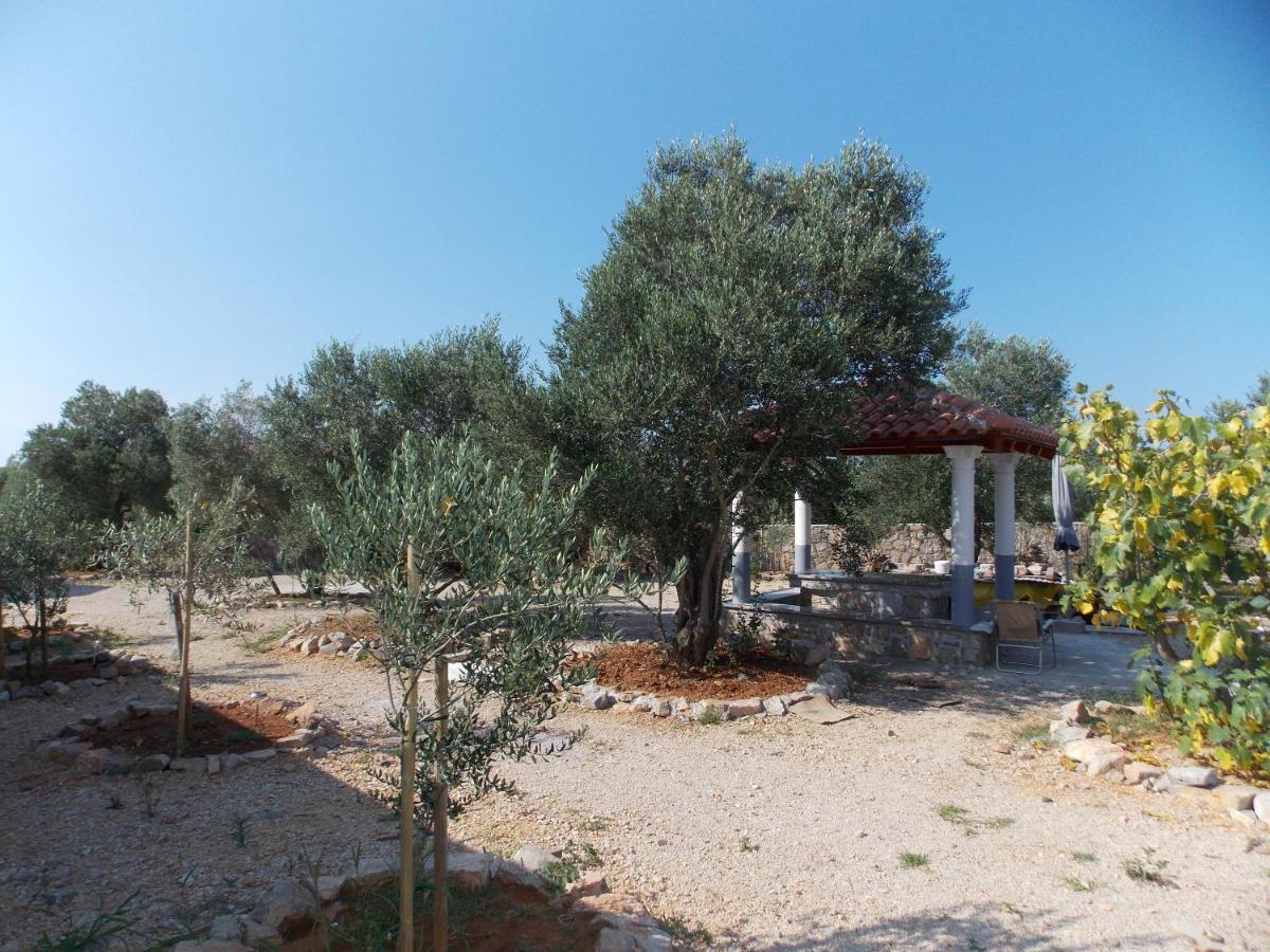 Apartments Miro Kornić מראה חיצוני תמונה